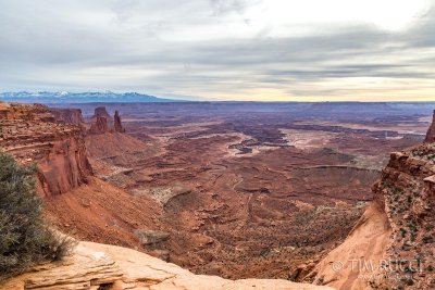 1DX69037 - View over Mesa Arch