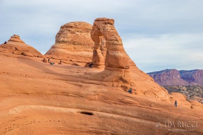 1DX68548 - Delicate Arch