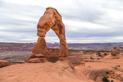1DX68599 - Delicate Arch