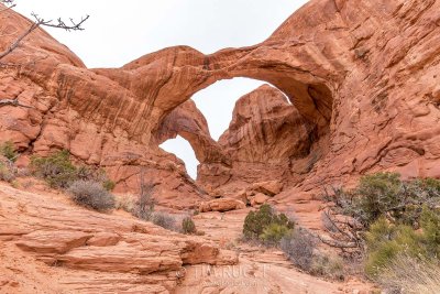 1DX68239 - Double Arch