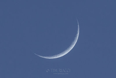 1DX-71335 - Moon over Bosque