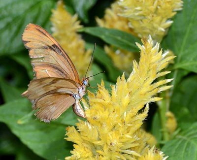 DSC_2536.jpg