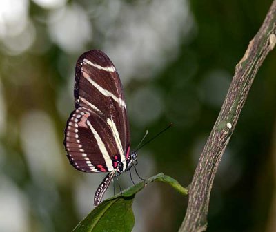 DSC_2538.jpg