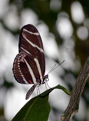 DSC_2539.jpg