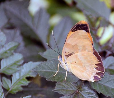 DSC_2565.jpg