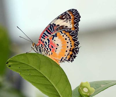 DSC_2577.jpg