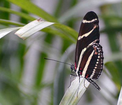 DSC_2587.jpg