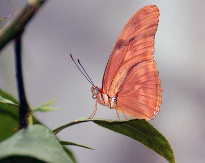 DSC_2613.jpg