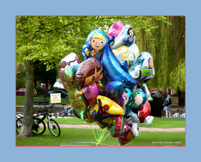 Balloons at the Fair