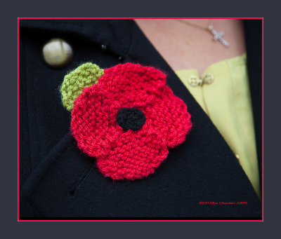 A Knitted Poppy, worn by the Mayoress of Colchester on Armistice Day 