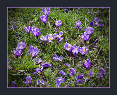 We welcome this sign of Spring. 