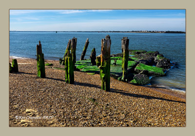 The Old Jetty 
