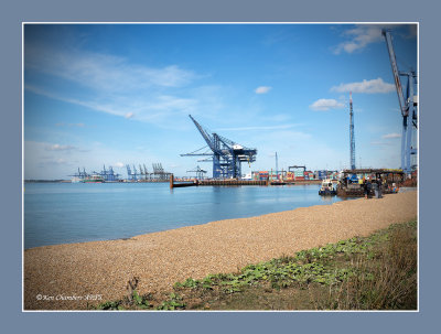 The Cranes of Felixstowe International Port