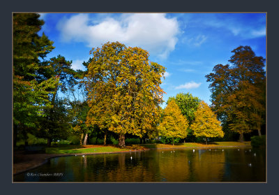 Castle Park at Autumn 