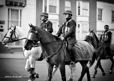 Police Horses have proved to be very effective in riot control