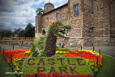 Dragon at Colchester  Castle