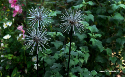 As Seen at The Chelsea Flower Show 