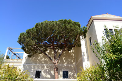 DSC_2644x.jpg