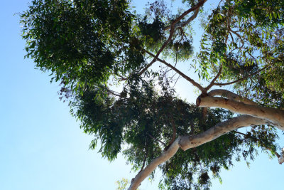 DSC_2696.jpg