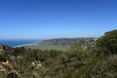 DSC_2722x.jpg