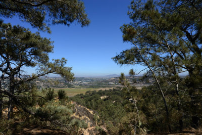 DSC_2725.jpg