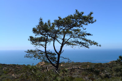 DSC_2730x.jpg