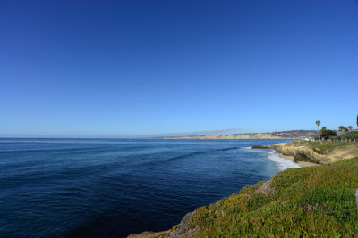DSC_2788x.jpg