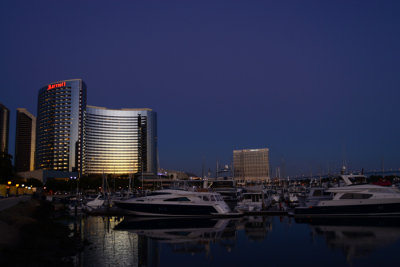 DSC_2836x.jpg