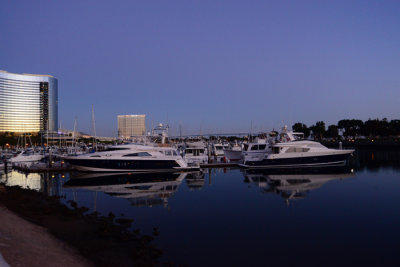 DSC_2842x.jpg