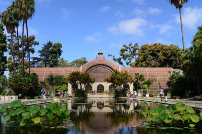DSC_2939cx.jpg