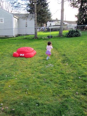 IMG_267307.jpg