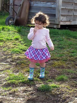 IMG_267610.jpg