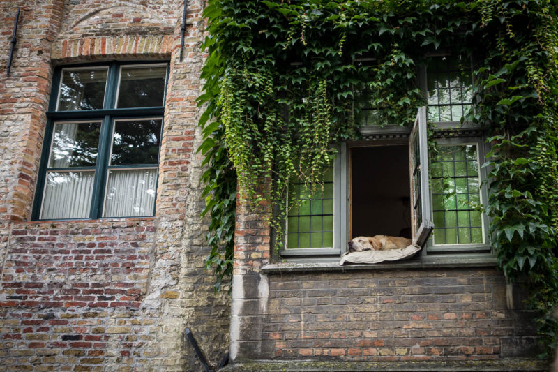 Bruges
