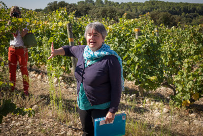 At Sylvia's Winery, Languedoc