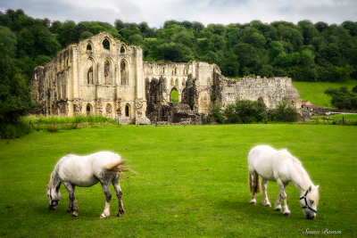 Ruined Abbeys of the North York Moors