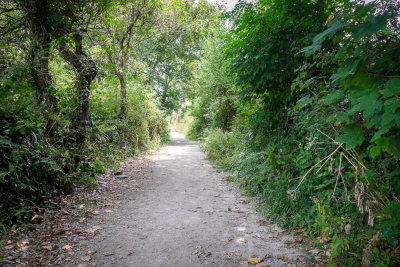 walking to the beach at Menabilly