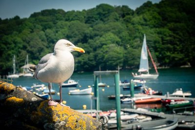 Fowey, Cornwall