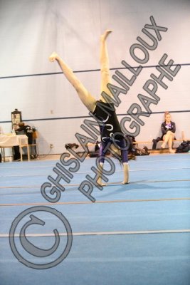 2013 copy.jpg