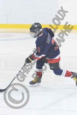 3803 copy.jpg