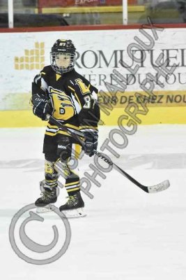 7963 copy.jpg