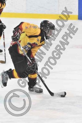 0811 copy.jpg