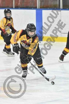 0847 copy.jpg