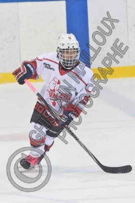 6945 copy.jpg
