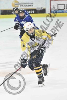 0661 copy.jpg