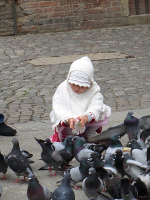 Feeding the Pigeons