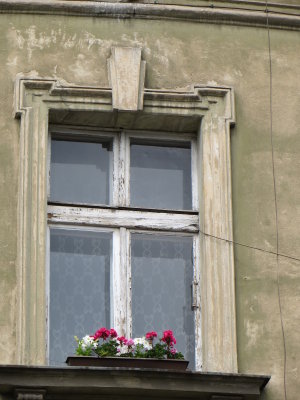 Krakow Window