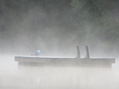 My favorite morning shot