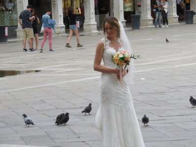 Bride in St. Mark's Square