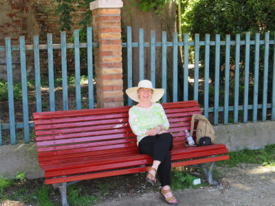 Finding a shady spot
