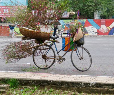 from_hanoi_to_saigon